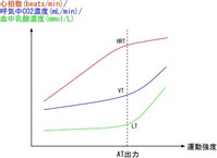 atgraph.JPG